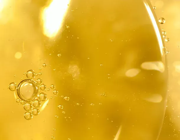 Ferulic Acid