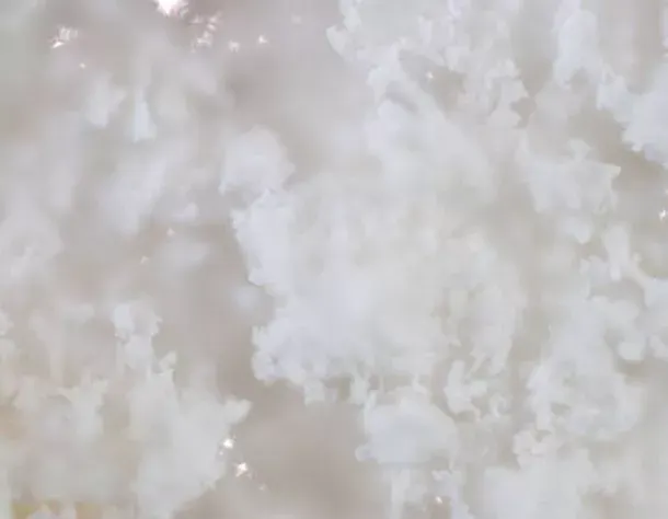 Hydrated Silica