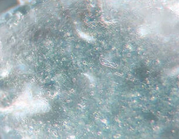 Zinc Oxide